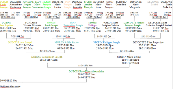 Arbre-genealogique-Dubois-Rose.png