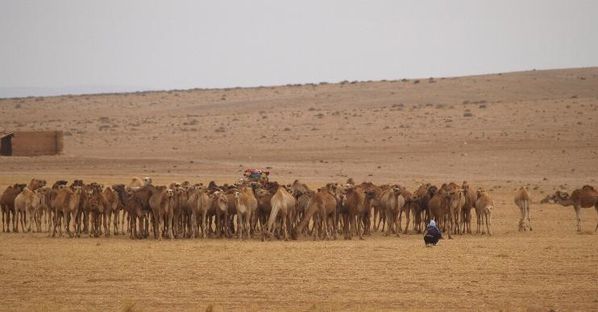 rencontre par telephone maroc