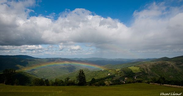 Cevennes