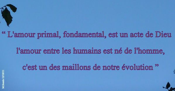 Pensee-amour-Evolution-12-10-11.jpg