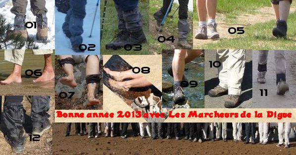 Voeux 2013
