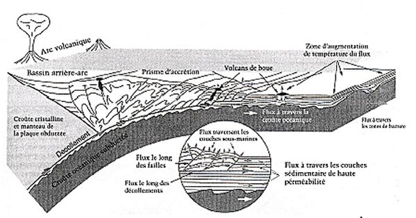 mode-elimination-des-fluides---subduction.jpg