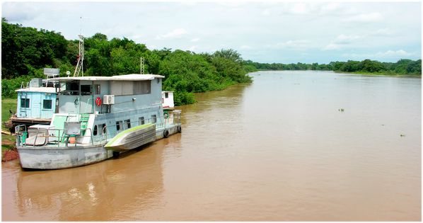 Bresil Pantanal S Piste Parc 17