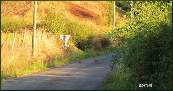 poétique du village rencontres en margeride