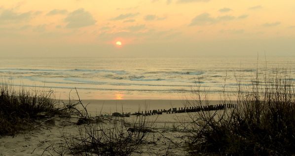 l-Ocean-005.jpg