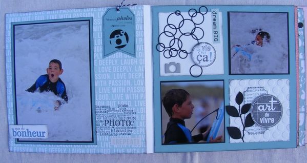 DSCF0239--Copier-.JPG