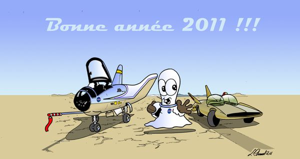 bonne-annee-2011-copie-lgt.jpg