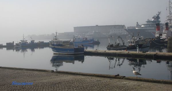 Brest-port.JPG