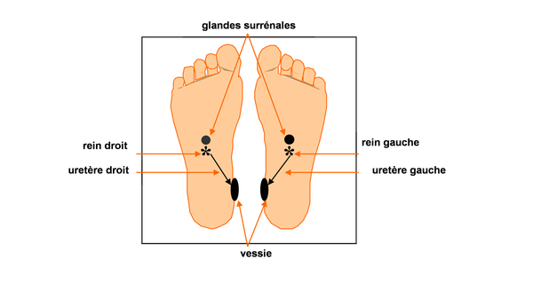La douleur de part et dautre les cous