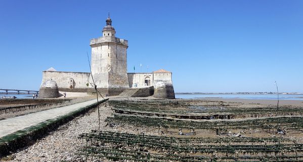 2013 08 22 Fort Louvois Port Ostréiculteurs (116) DxO jyc-