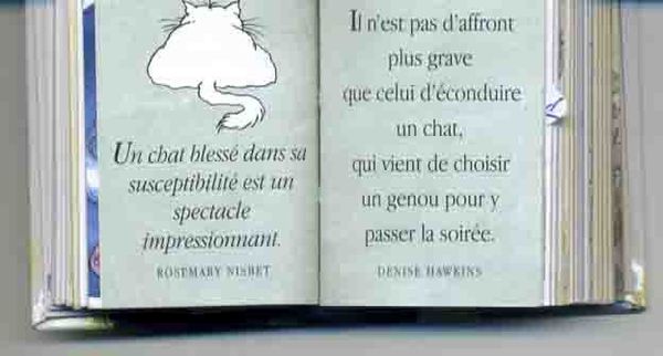 chat susceptible