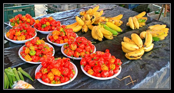 StLaurentMarché07