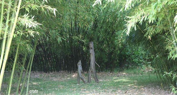 Ariege-2010-909.jpg