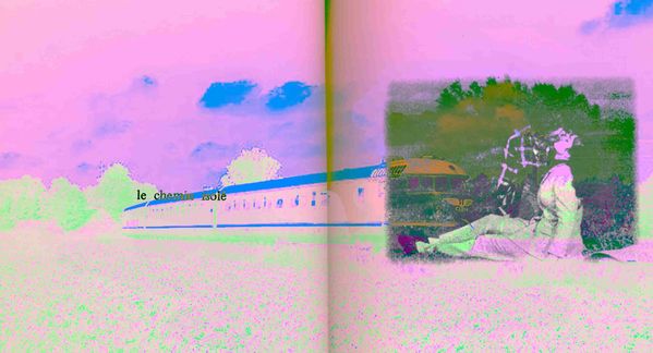 MESSAGER-le-chemin-isole.jpg