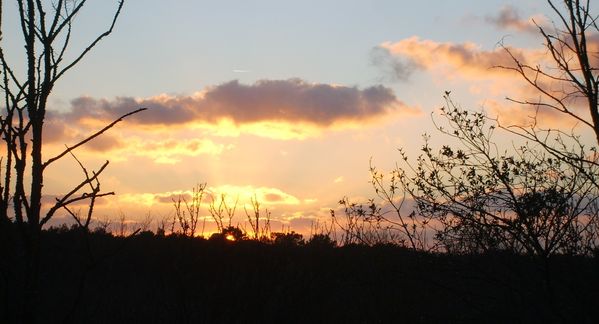 coucher.3
