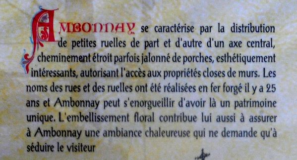 AMBONNAY, une visite de la ville ( Didier Simonnet )-