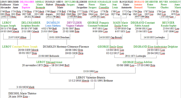 Arbre-Leroy-Valentine.png