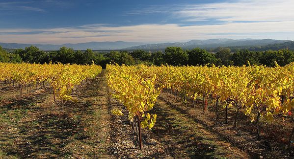2010-10 0239 - copie