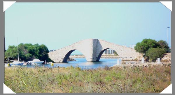 Pont-Manga-Espagne.jpg