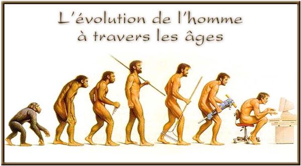 evolution_homme.jpg