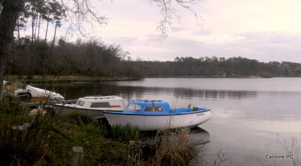 lac-066.jpg