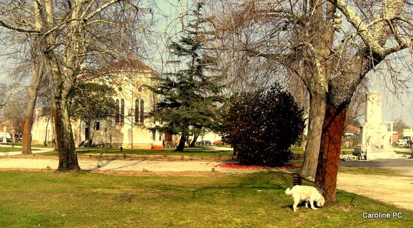 ville-015.jpg
