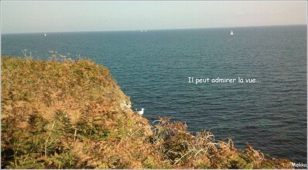 Belle-Ile-7.jpg