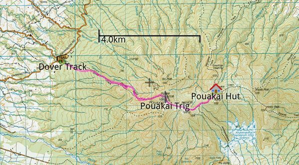 Pouakai01.jpg