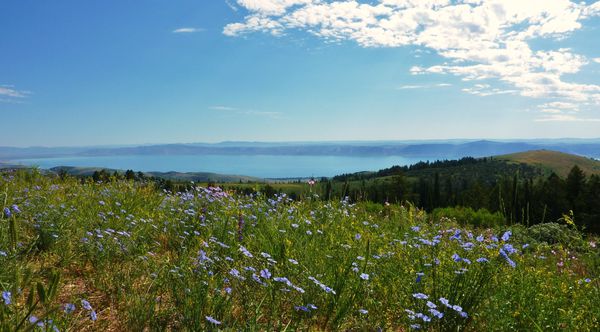 Jour 9 Bear Lake