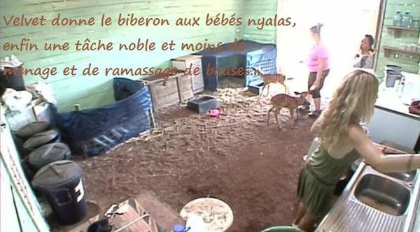 vendredi-1202-biberons.jpg