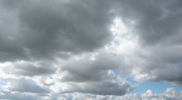P1050481.jpg