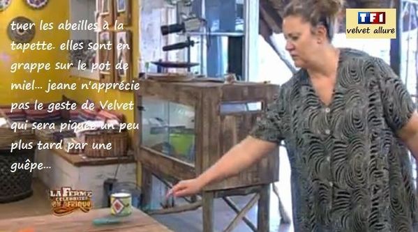 dimanche-1402-abeilles.jpg