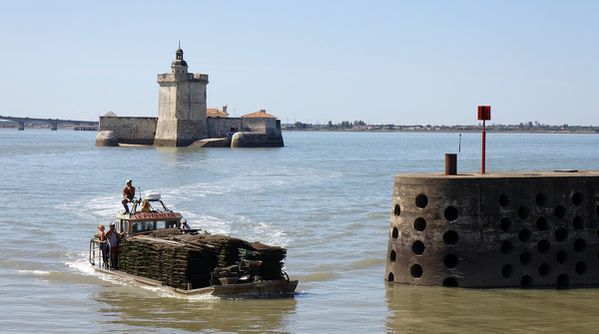 2013 08 22 Fort Louvois Port Ostréiculteurs (198) DxO jyc-