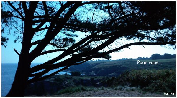 Belle-Ile-8.jpg