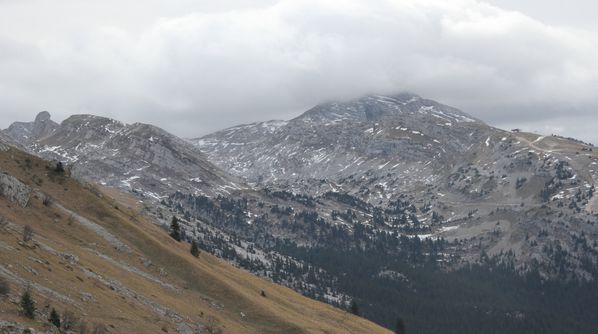 121124 Col Vert 014