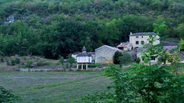 Rencontres sauvages porte doree