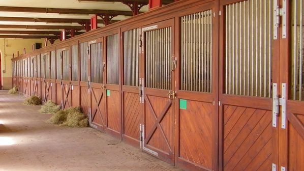 272 Les Haras nationaux à St-Lô, 14 mai 2011