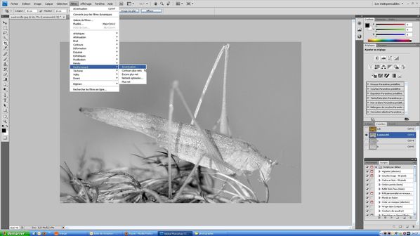 filtre renforcement accentuation