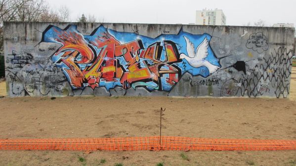 2013-01-06-Graffitis-blois-zus--2-.JPG