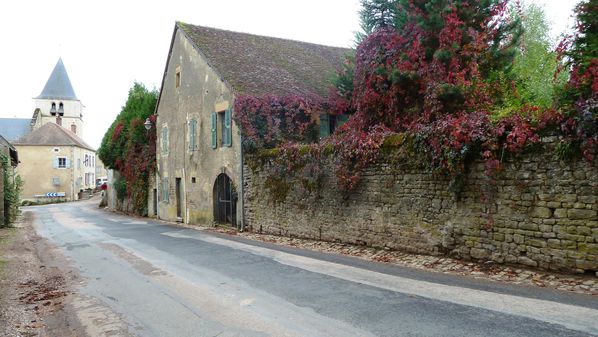 Lurcy-vigne-mur.JPG