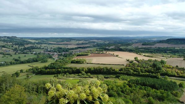vue stpere