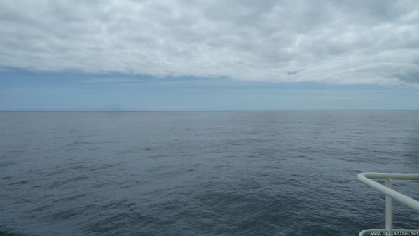 P1320840.JPG