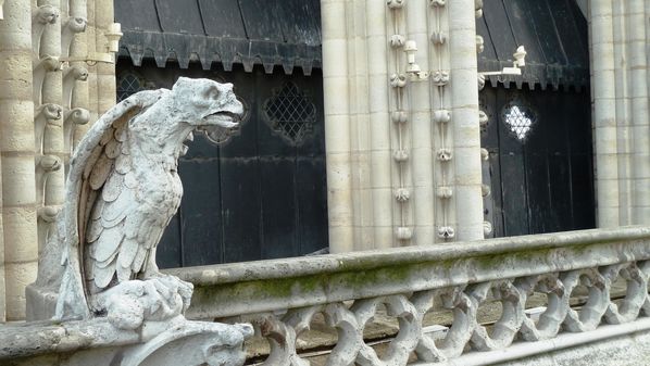 chimeres-bourdn3.jpg