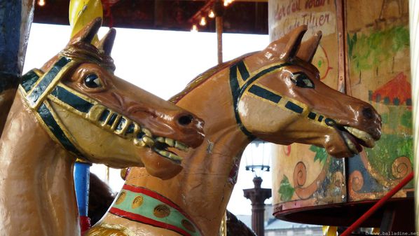 manege22.jpg
