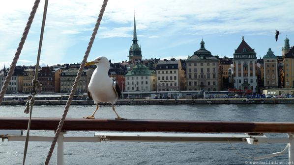 Stockholm6.JPG