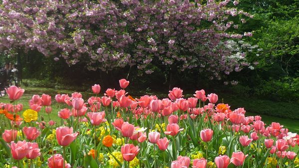 Buttes-chaumont-015.JPG