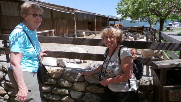 Ferme-du-Col-de-la-Sentinelle.JPG