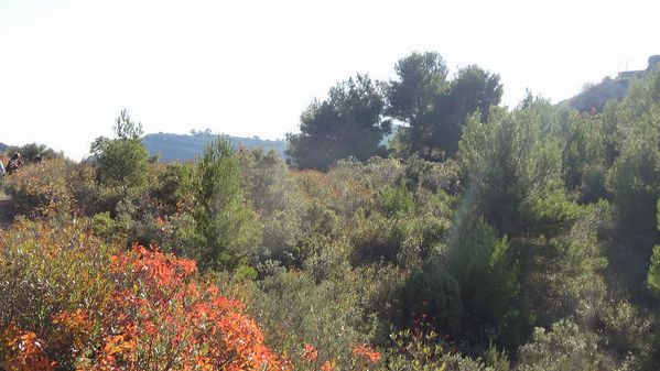 DSC05870.JPG