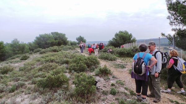 20141027_113645--FILEminimizer-.JPG