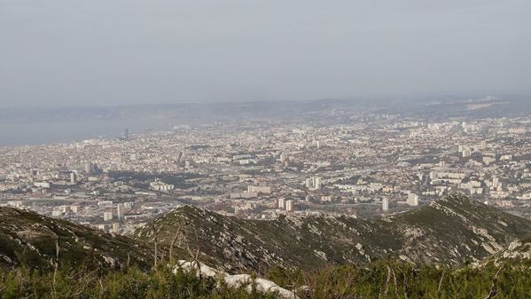 DSC09523.JPG